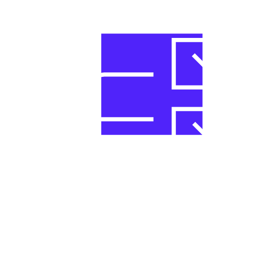 Automobile Checkmarks Icon